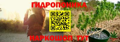 синтетический гашиш Заводоуковск